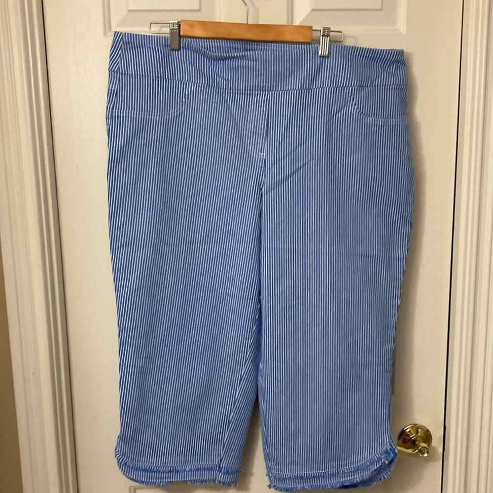 Ruby Rd. Blue and White Striped Pants